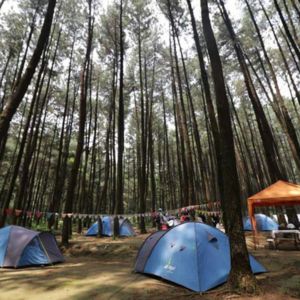 lokasi outbound sentul bogor fun team building