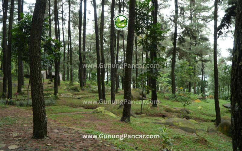 Camping di bogor sentul