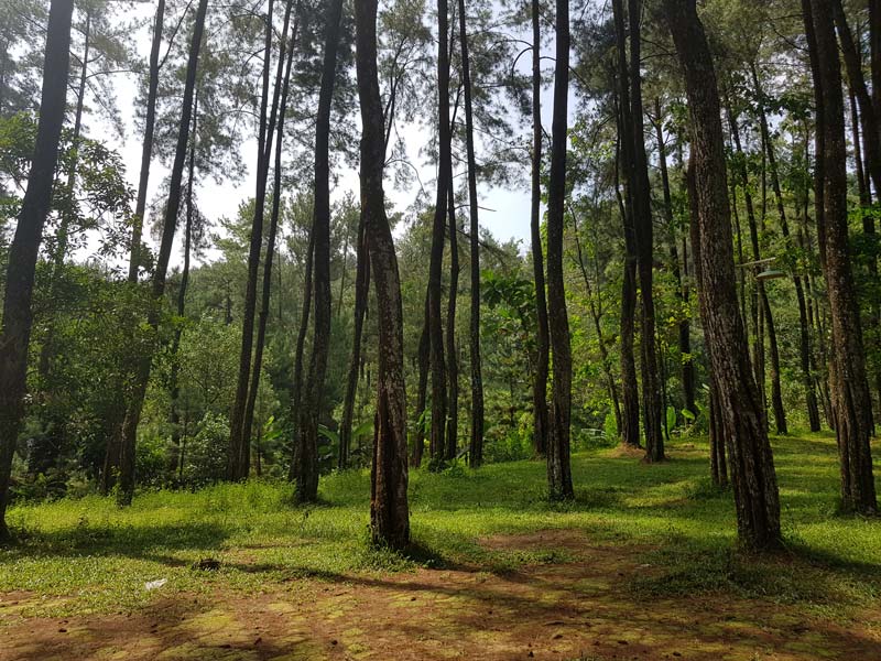 Camping di Bogor