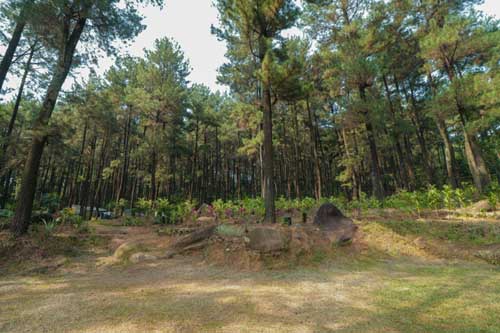 Lokasi camping terbaik di Bogor dekat jakarta