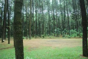 Camping Ground Gunung Pancar sentul Bogor