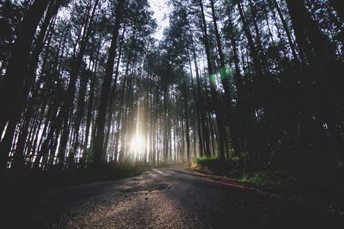 Trekking di Sentul Gunung Pancar, Bogor