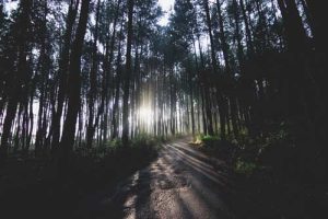 Camping Ground Gunung Pancar Sentul Bogor