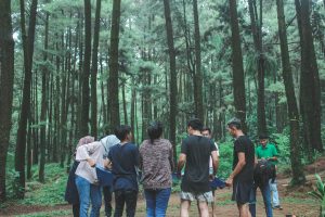 Lokasi outbound team building sentul bogor