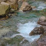 Paket trekking leuwi hejo sentul bogor